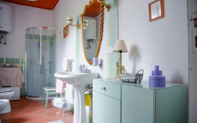 Easy Welcome Salvia - Cartolari County Apartments