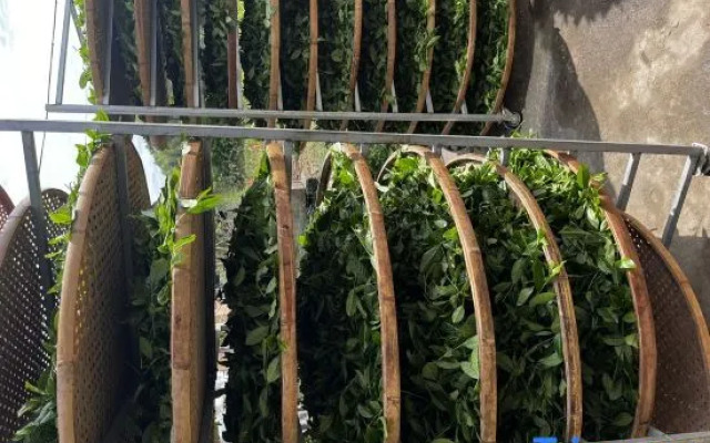 Mian Xiang Ju Homestay