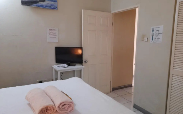 Camelia Rooms