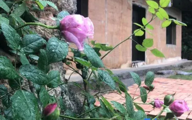 Hengyang County Shanshuijian Homestay