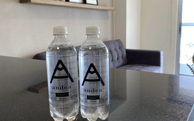 Modern Lofts in Grau Building by Wynwood-House