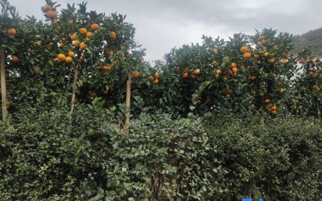 Tiantai Pinyuan Homestay