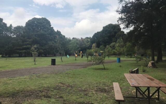 Anaya & Rodriguez Shop - Hostel