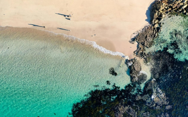 Gemini Way 10 Pet Friendly