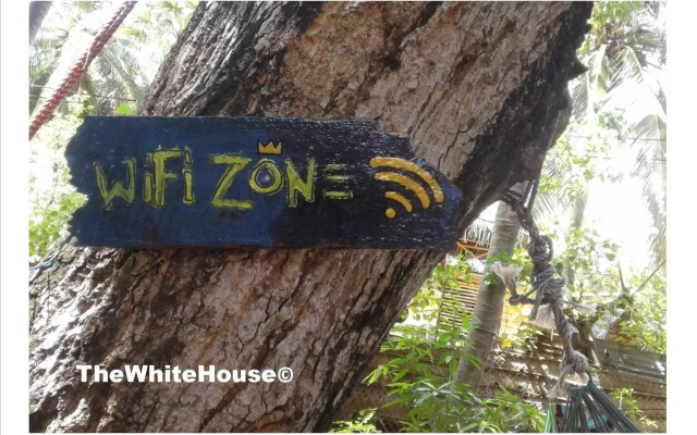 The White House