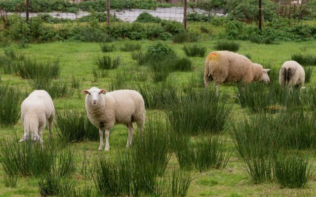 Quaint Apartment in Oosterend Terschelling near Sea