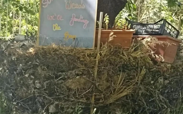 Ripe's Forest Garden Guest House