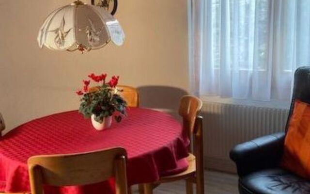 Studio Elsighorn Frutigen