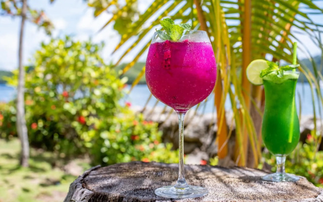 Isla Chiquita Glamping Hotel