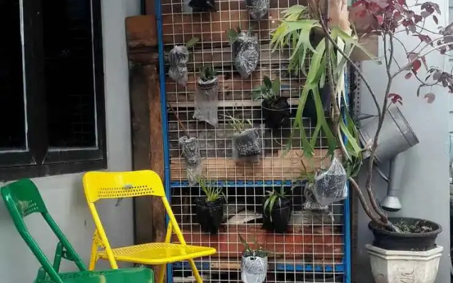 RELIC ROOM House of plants