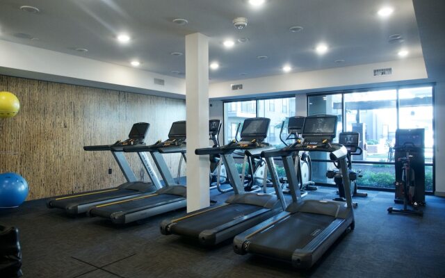 Hidden Gem of Dallas, 6 Mins Aacenter