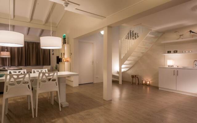 Modern Apartment With a Roof Terrace, on Schiermonnikoog