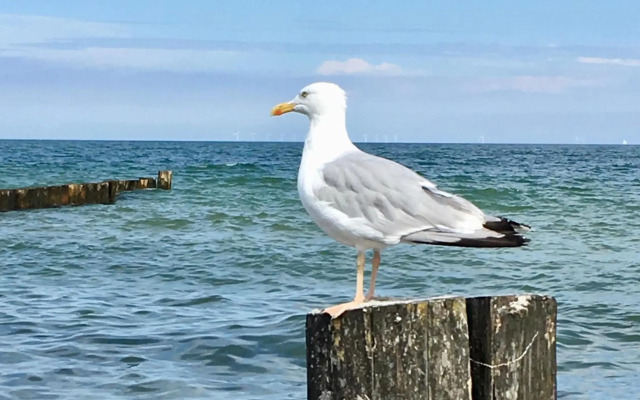 Residenz am Strand Zingst für Zwei - Wohnung 6-78