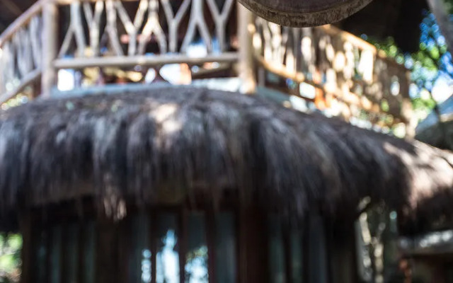 Life Source Retreats Tulum - All Inclusive