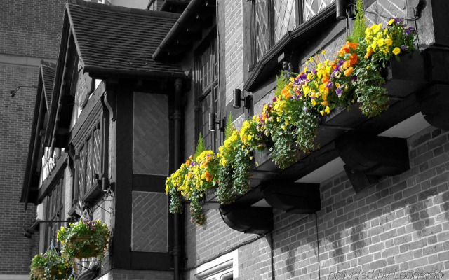 The White Hart Hotel