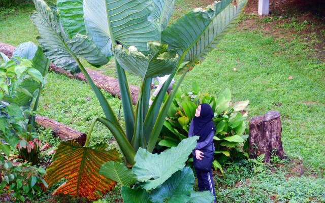 Kawag Danum Rainforest Lodge