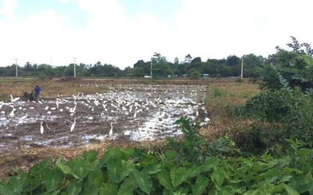 Coca Cola Hostel Malabe