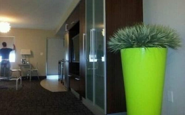 Strand Ocean Drive Suites