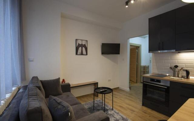 Belgrade apartment Bulevar