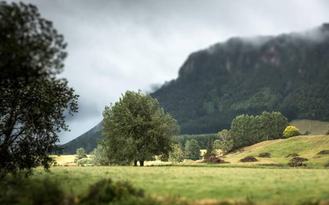 Astelia Lodge
