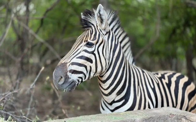 Singwe Private Safari lodge