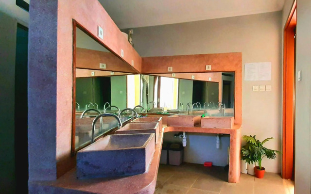 Urban Jungle House Bali