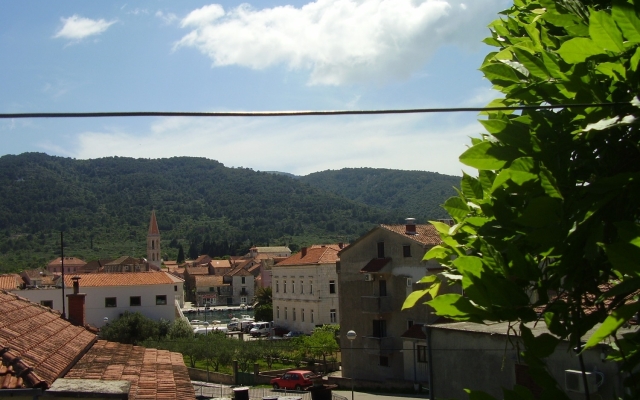 Apartment Igor - near center: A3-Pharos Stari Grad, Island Hvar
