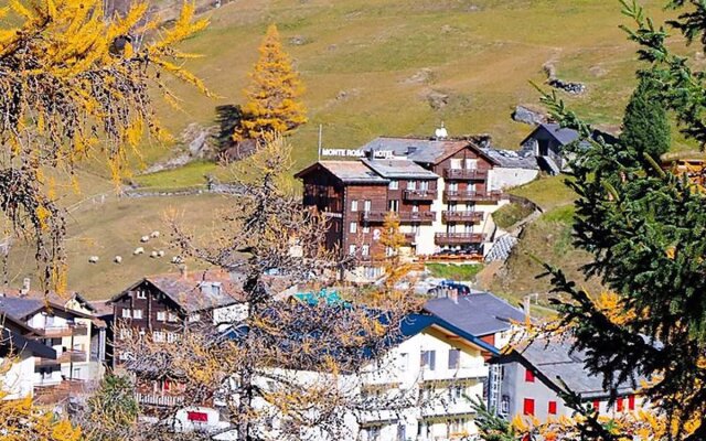 Monte Rosa 23921