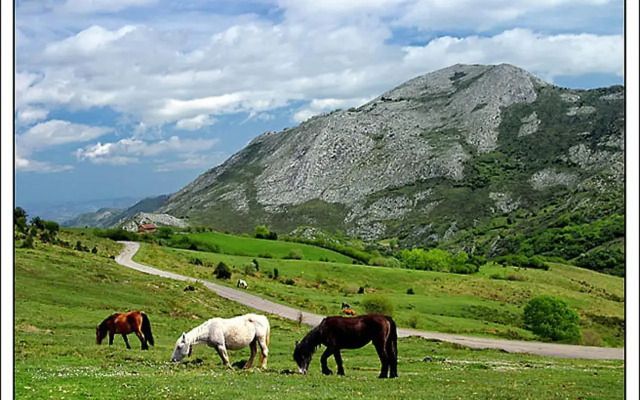 MonteGrande