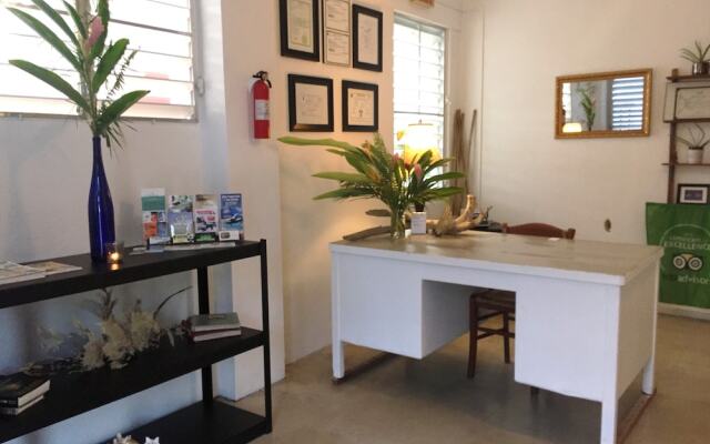 Vieques Tropical Guest House