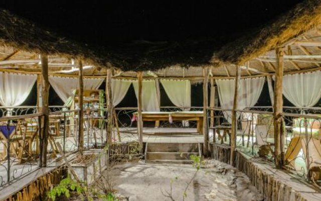 Bonobo Lodge