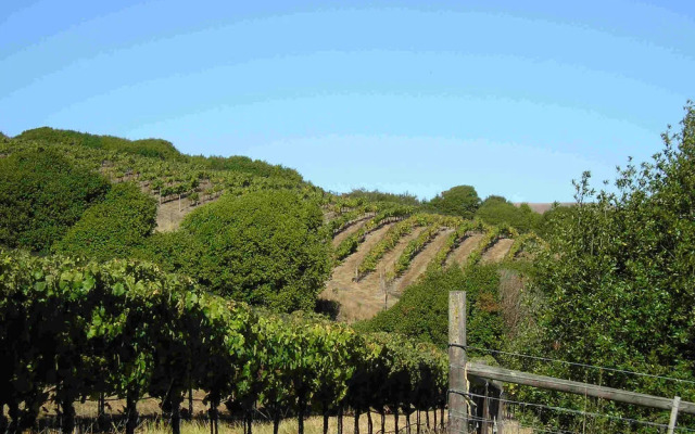 Point Reyes Vineyard Inn