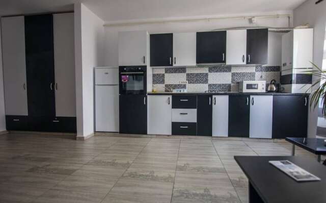 Impeccable 1-bed Studio in Roșu