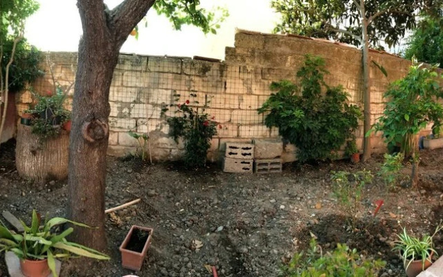 casa andreana