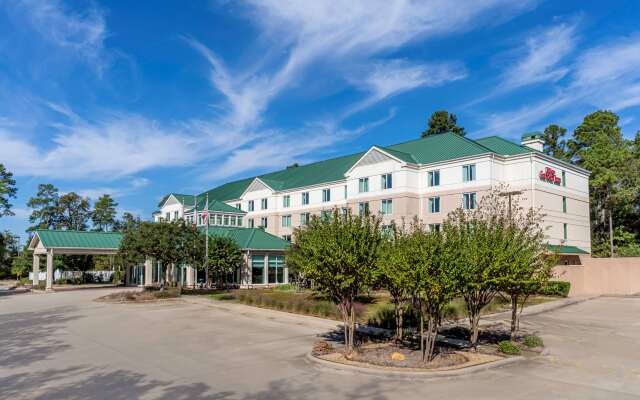 Hilton Garden Inn Houston/The Woodlands