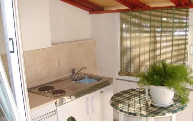 Apartments rooms Roza-200m to sea