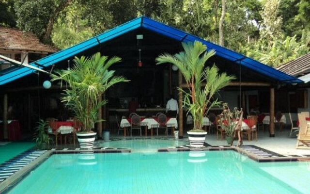 Mount Field Resort