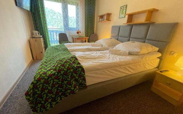 Sasanka Szczyrk przy Gondoli