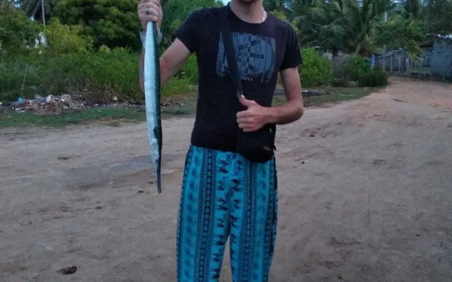 dolphin wadiya