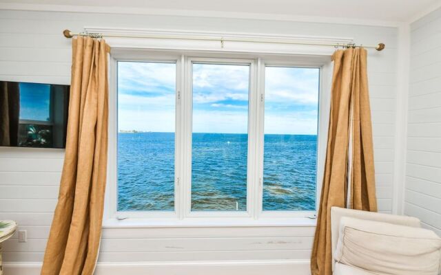 Bayfront Paradise
