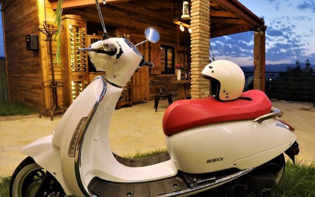 Falcon Apartments - Terrace