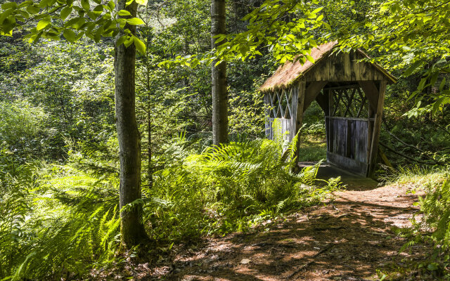 Bluebird Cady Hill Lodge