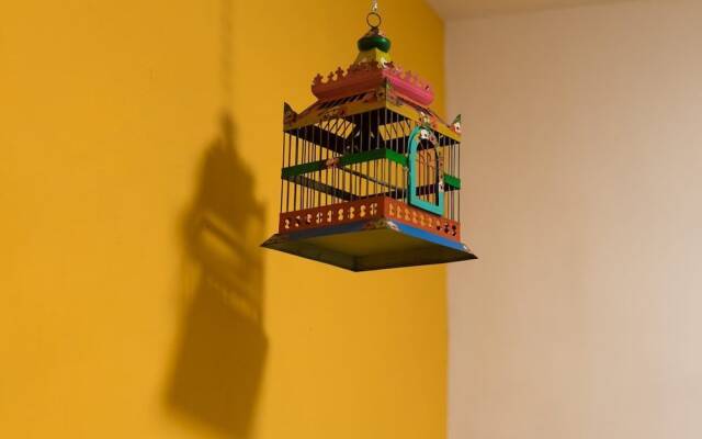 JUUB Newly Renovated cozy apt w/terrace at La Roma