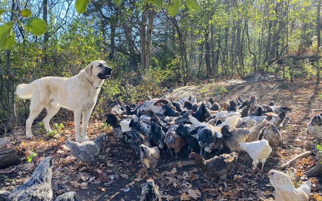 The Inn on Lake Champlain