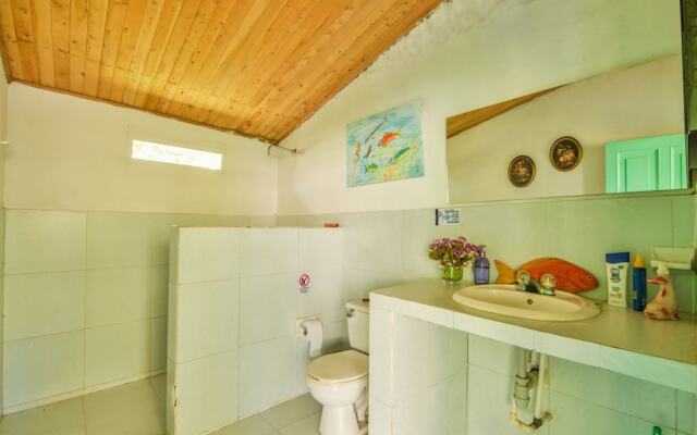 Eco Hotel Casa Lola - Hostel
