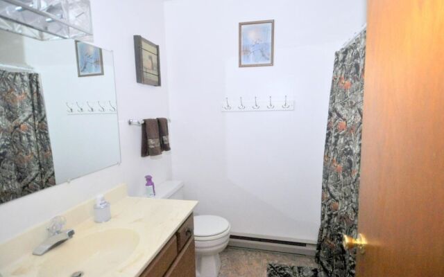 Chesnutt Cabin on the Cacapon River