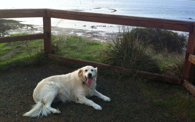 Corinella On The Esplanade Bed & Breakfast