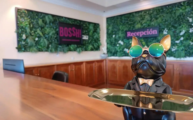 Hotel Bossh Alicia