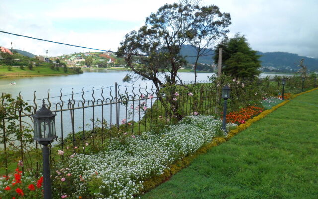 Tea Plant Nuwara Eliya