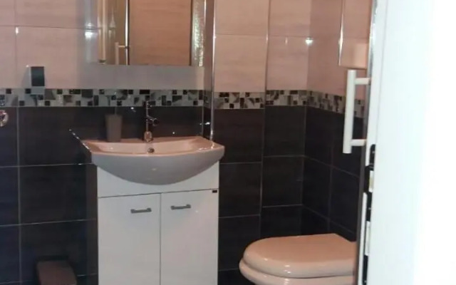 Apartment Vila Mirela
